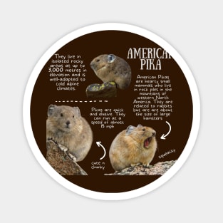 Animal Facts - Pika Magnet